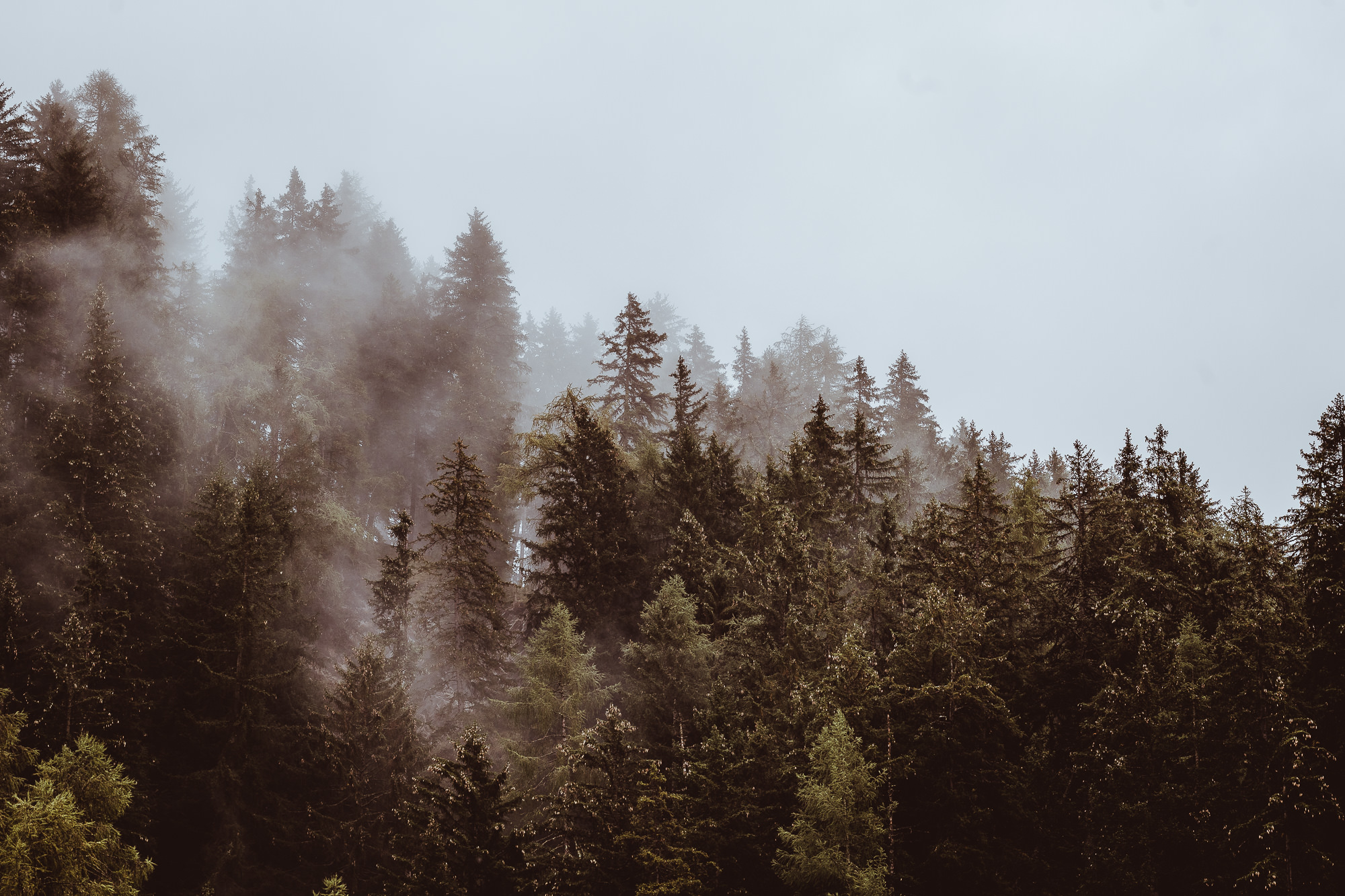 Export x3 1DX23870 Fotoshooting 2018 Annette & Mike Nauders